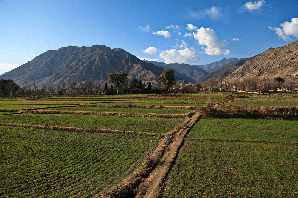 champs agricoles près d'une chaîne de montagnes.