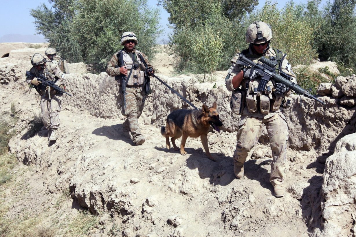 soldats avec un chien
