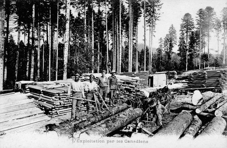 Un groupe de soldats de différentes origines ethniques debout sur des rondins. Ils transportent des outils. Derrière eux se trouvent une forêt et des piles de bois.