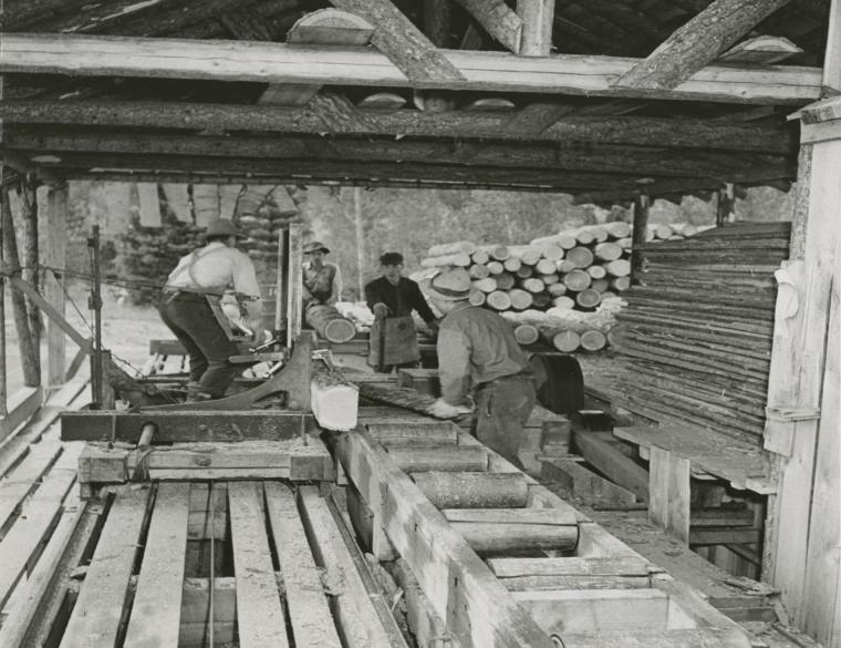 Des hommes travaillant avec des machines pour la fabrication de bois d'œuvre.