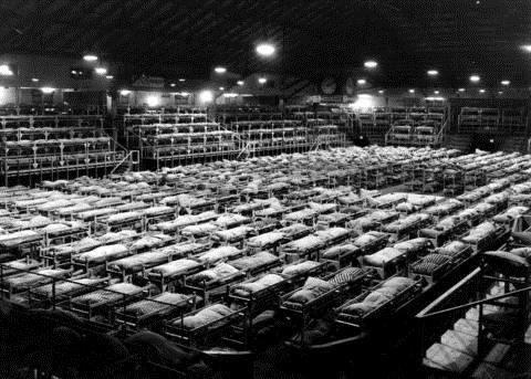 Un gymnase rempli de lits de camp.