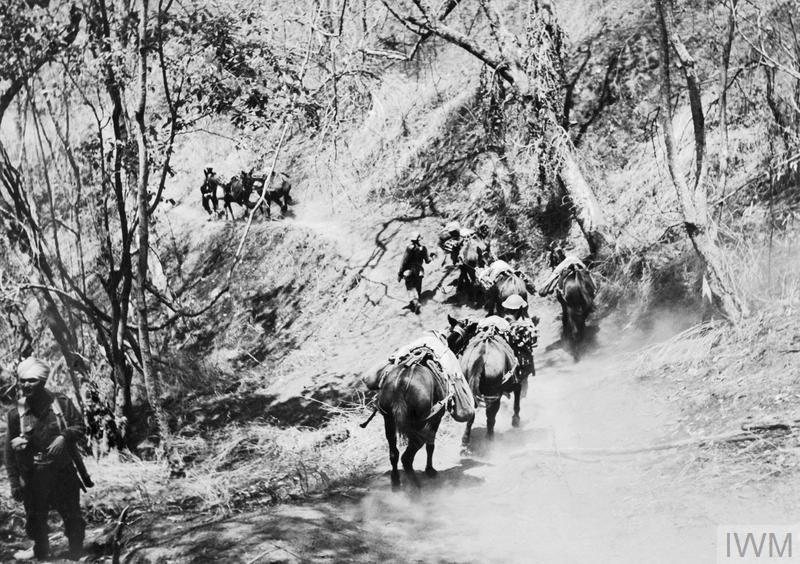 Un groupe de soldats accompagnés d'ânes qui remontent un sentier de montagne.
